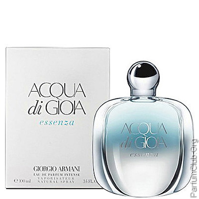 40 Notes Perfume Exquisite Amber