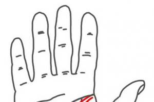 Як правильно розуміти лінії на руці