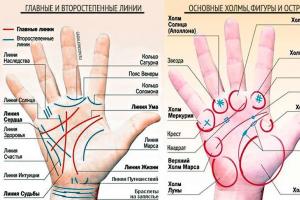 Kädentaidot aloittelijoille: kämmenellä olevien viivojen merkitykset